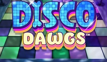 Disco Dawgs