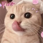 Fernando Torres avatar